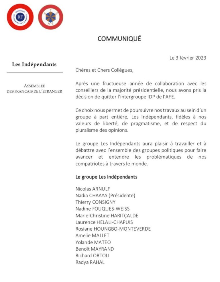 12 élus créent un groupe « Les indépendants » à l’Assemblée des Français de l’étranger