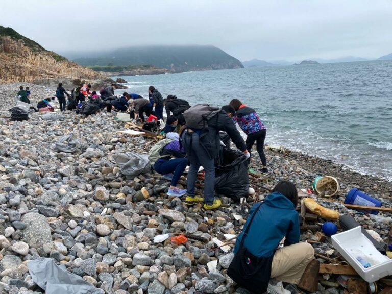 Nettoyer les plages, ça sert à quoi ?