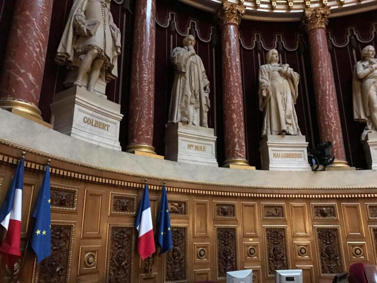 IVG dans la constitution : les votes des sénateurs des Français de l’étranger