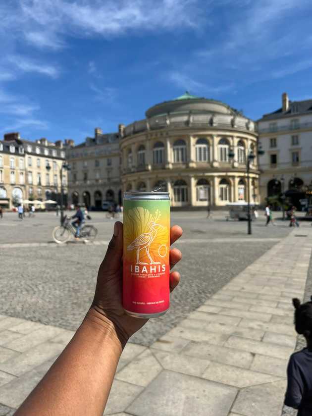 Ibahis : une boisson pétillante aux mille vertus à base d’infusion de fleurs d’hibiscus