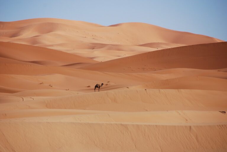 Comment les négociateurs Émiriens pourraient s’inspirer des entreprises au Maroc pour viser les meilleurs exemples de décarbonation à la COP28