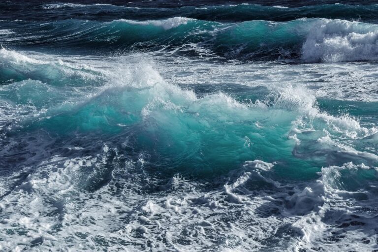 L’histoire d’une rescapée de la fièvre typhoïde grâce à un plasma marin, le Plasma de Quinton