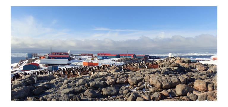 Les encouragements de l’Antarctique pour les travaux de Lucie Randoin
