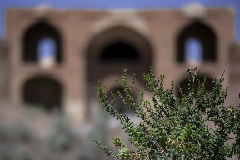 Forteresse éternelle :  Trésor d’un système ancestral d’irrigation pour revaloriser une ferme dans le désert iranien